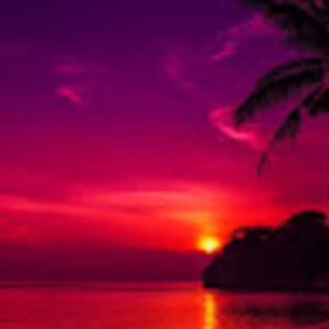 Meet your Posher, Reese